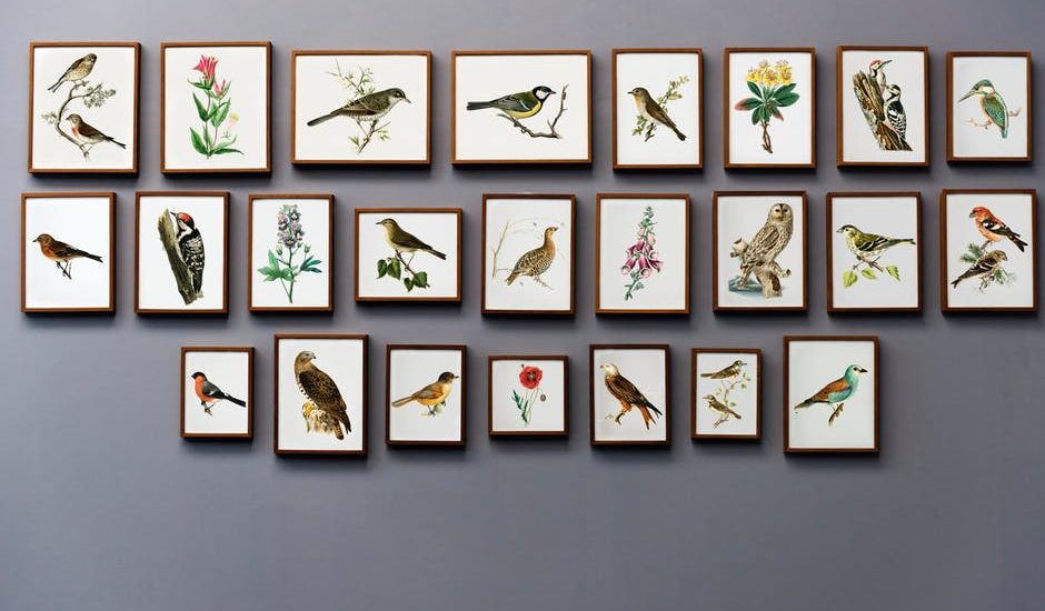 piękne dekoracje ścienne w każdym domu